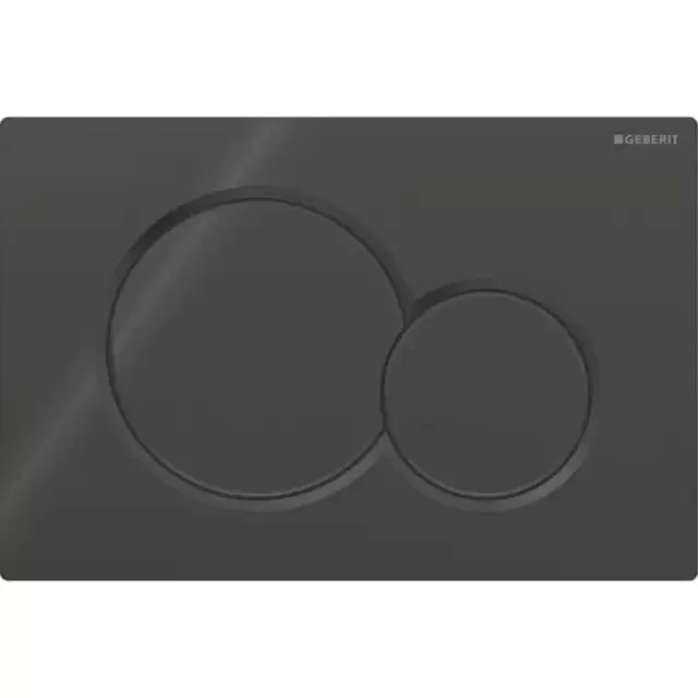 Geberit Sigma01 Клавиша для двойного смыва, круглая: Черный