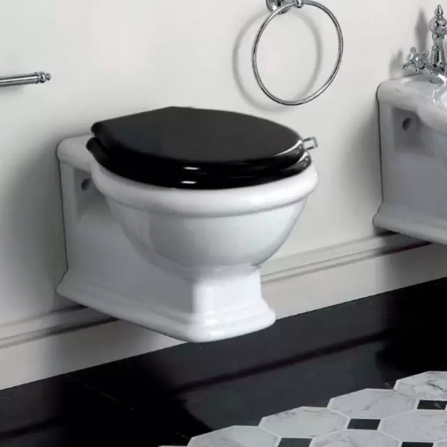 SIMAS Lante Унитаз подвесной безободковый "Rimless", 53х38,5см, цвет: белый