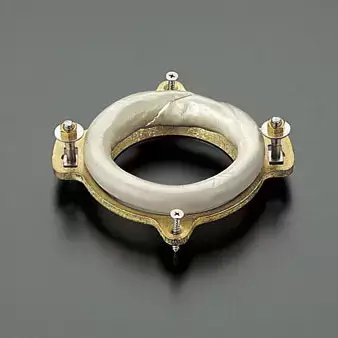 TOTO Neorest Фланец для унитаза CS985VR#NW1